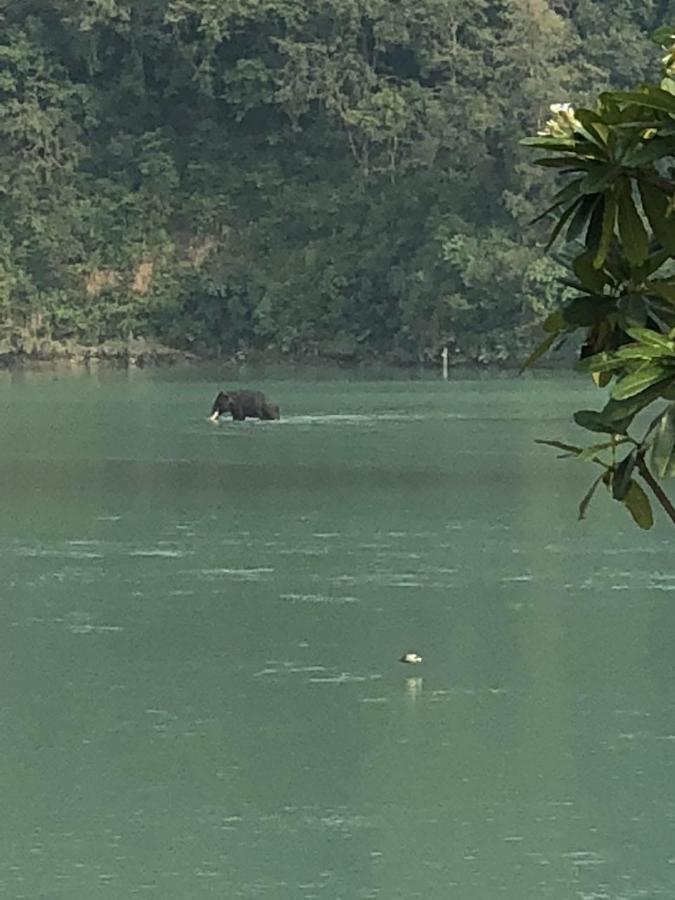 Ganga Forest View Rishīkesh Eksteriør bilde